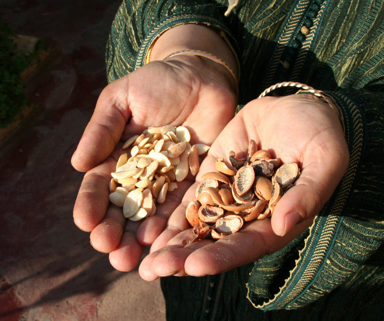 Essence of Morocco