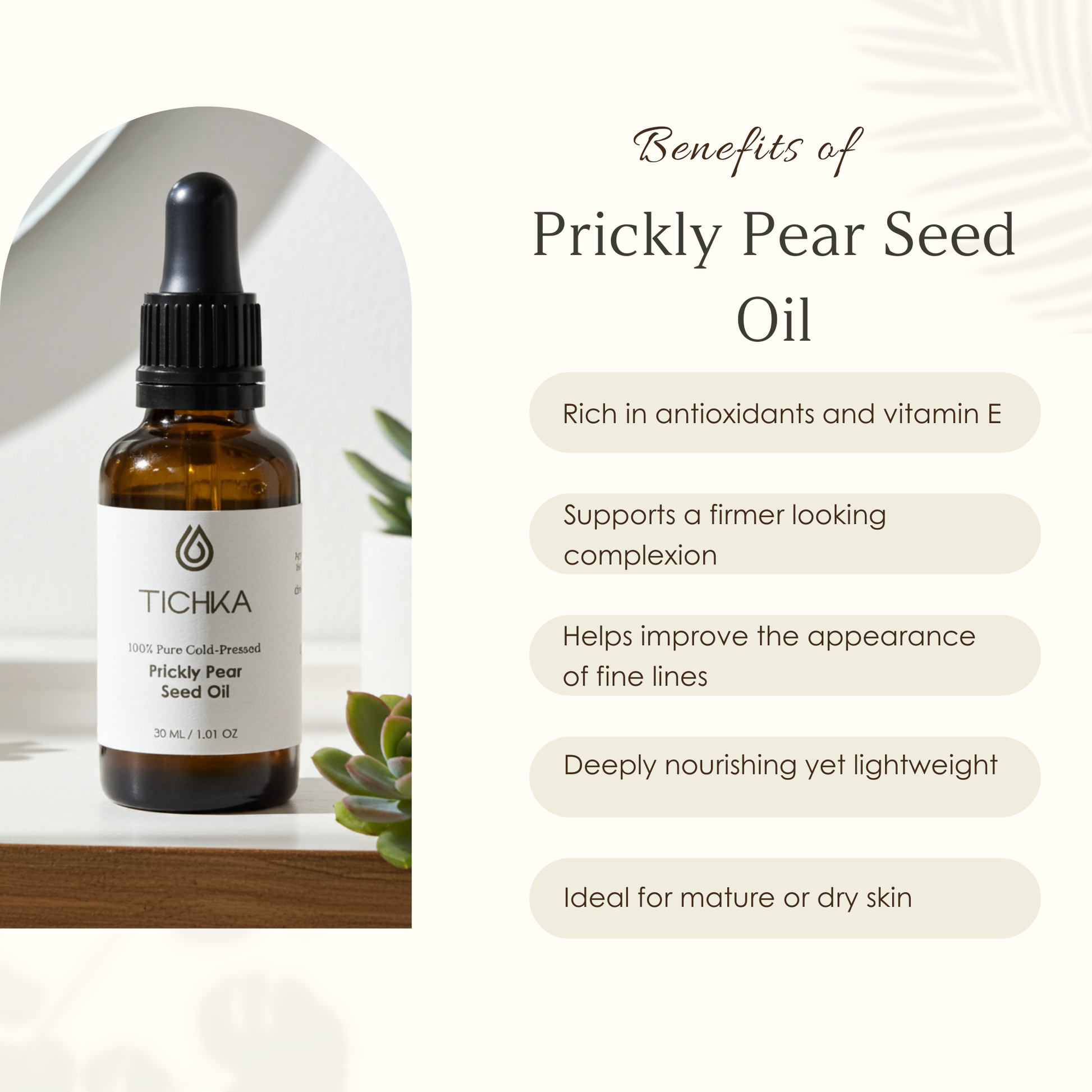 prickly pear cactus oil benefits Pure Moroccan Prickly Pear Seed Oil (Cold-Pressed)